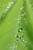 wp05a3397b_0f.jpg