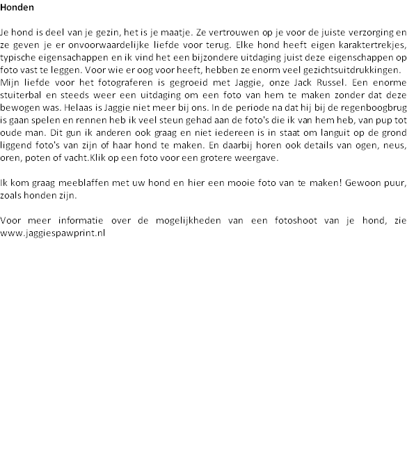 wp3fb6b49a.png