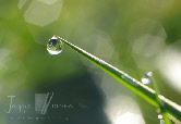 wp707f3e65_0f.jpg