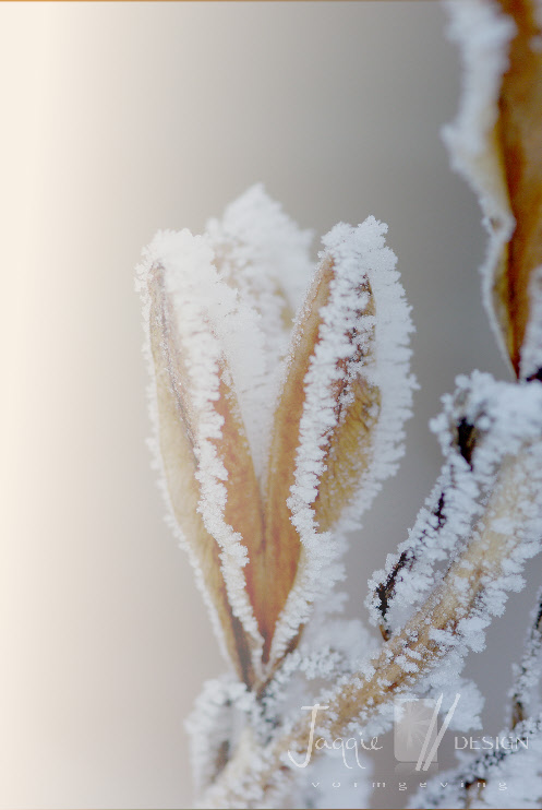 wp730a7489_0f.jpg