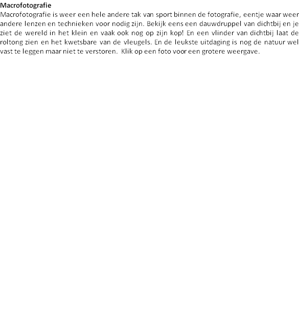 wp793e74f6.png