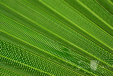 wp845f1ab4_0f.jpg