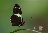 wpb9e94c51_0f.jpg