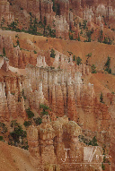 wpe090042b_0f.jpg